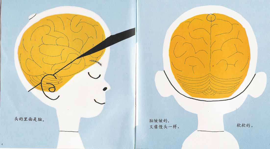 我们的头脑 (04),绘本,绘本故事,绘本阅读,故事书,童书,图画书,课外阅读